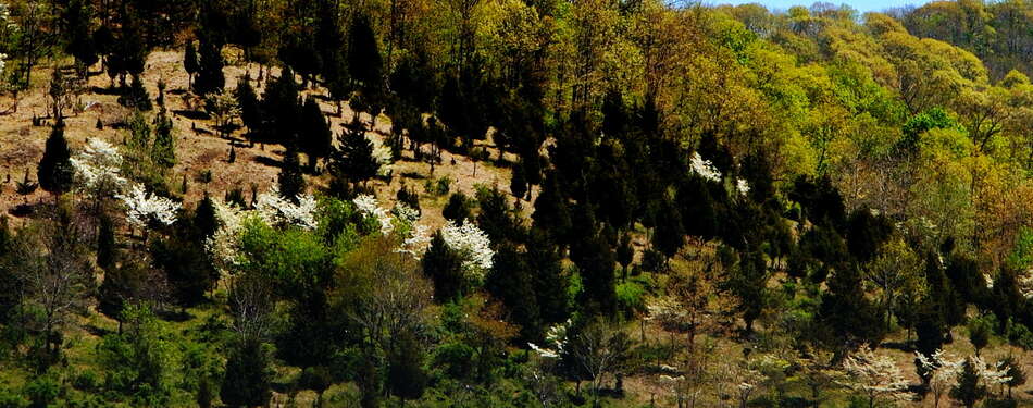 Photos of the week! April 7