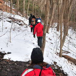  First Day Hikes in the NJ State Parks - 1/1/2020