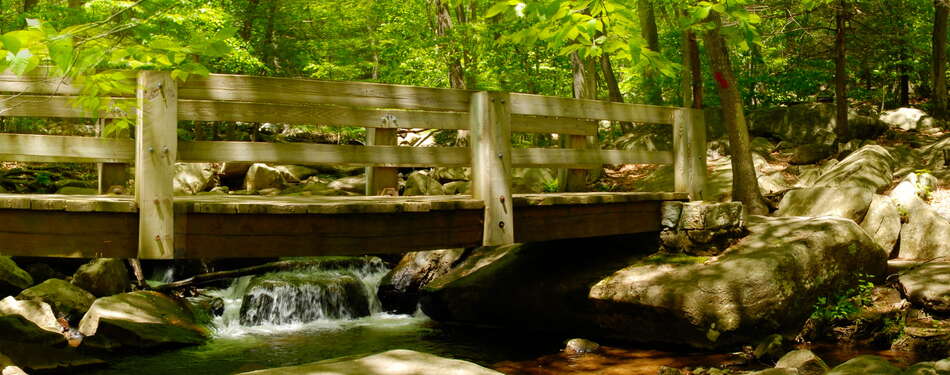 Your Summer 2023 Bucket List