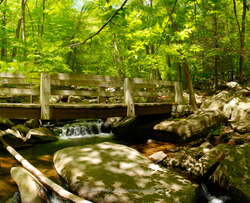 Your Summer 2023 Bucket List