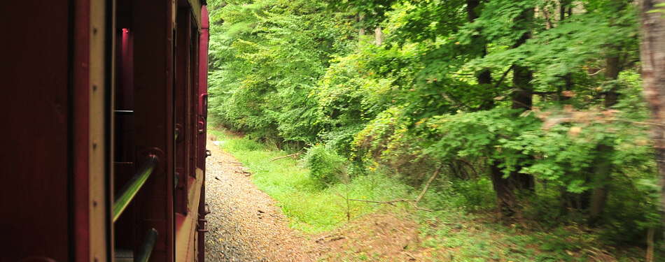 All Aboard the Tioga Central Railroad! (update 2025)